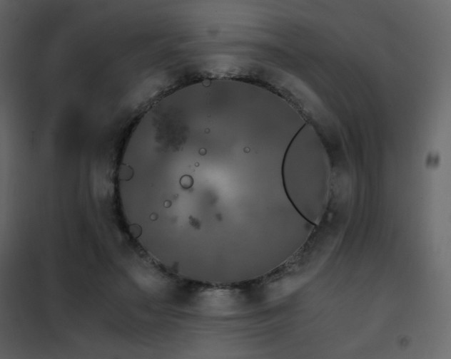 X0000102480499200808081308