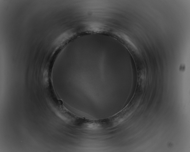 X0000102480500200808081308