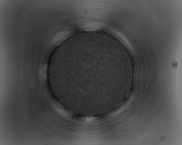 X0000102480501200808081308