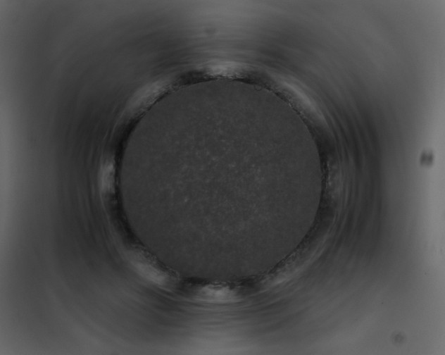 X0000102480502200808081308