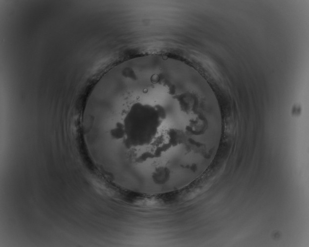 X0000102480503200808081308