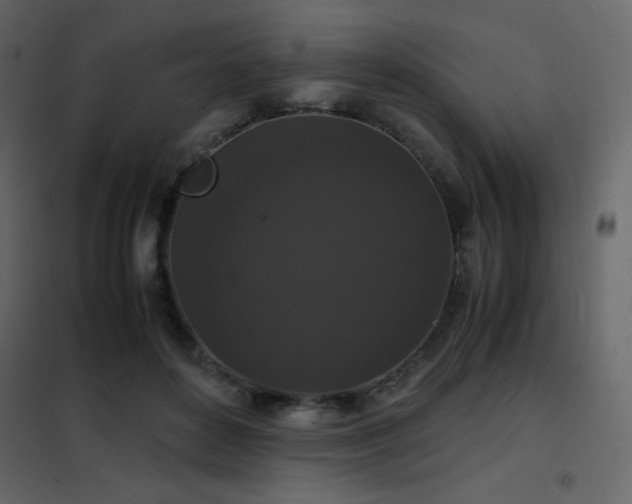 X0000102480504200808081308