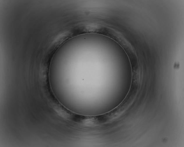X0000102480505200808081308
