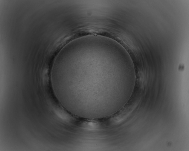 X0000102480506200808081308