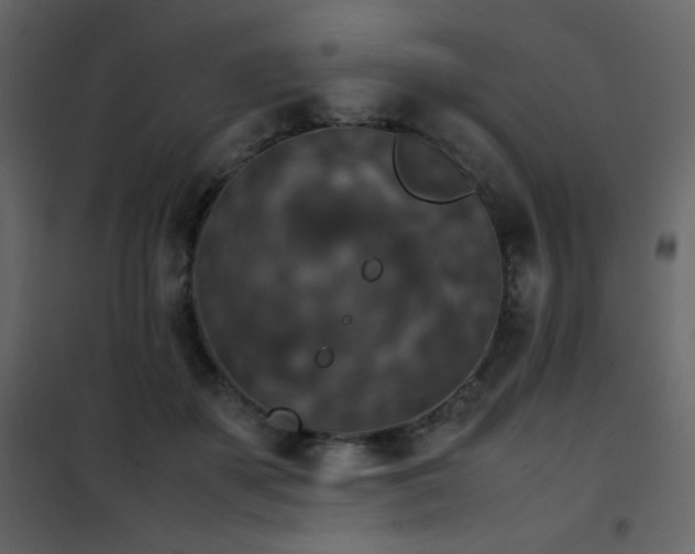 X0000102480507200808081308