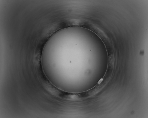 X0000102480509200808081308