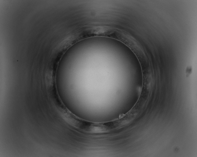 X0000102480510200808081308