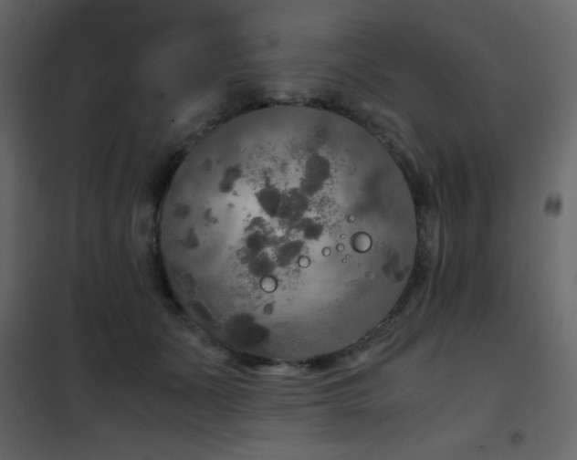 X0000102480511200808081308
