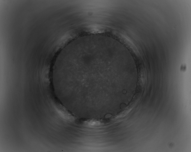 X0000102480512200808081308