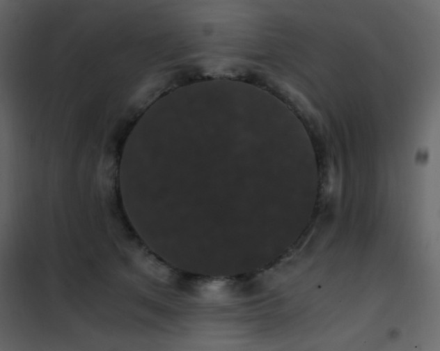 X0000102480513200808081308
