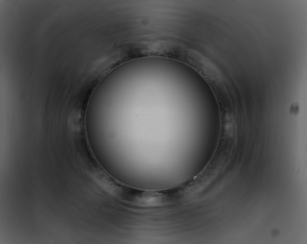 X0000102480514200808081308