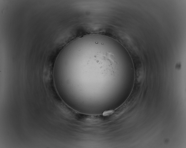 X0000102480515200808081308