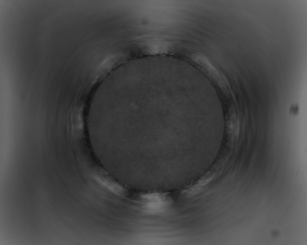 X0000102480516200808081308
