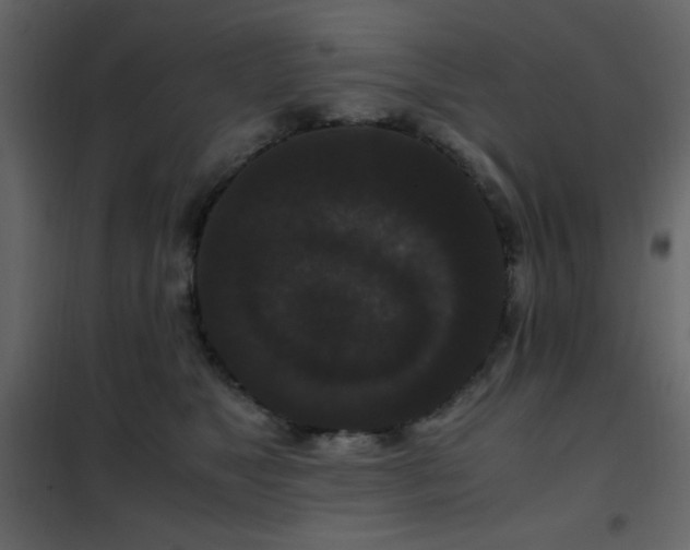 X0000102480517200808081308
