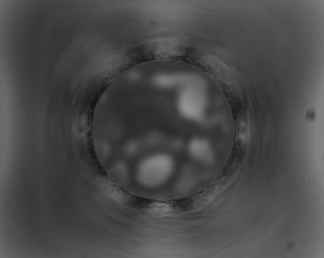 X0000102480519200808081308