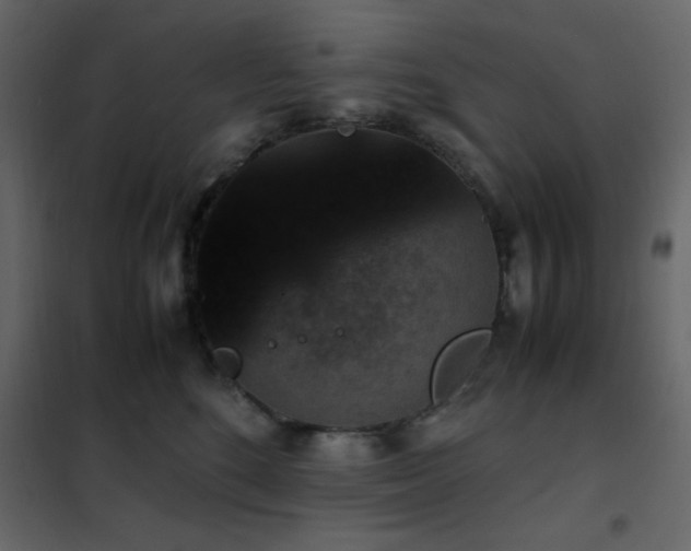 X0000102480520200808081308