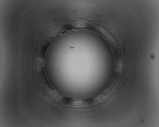 X0000102480521200808081308
