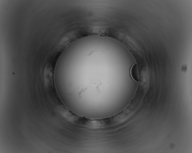 X0000102480522200808081308