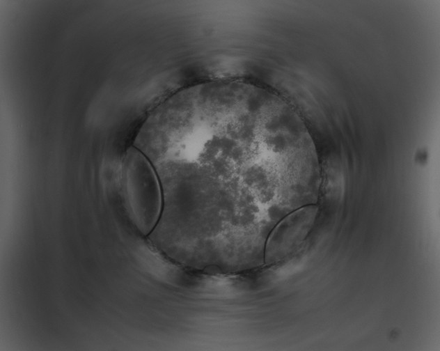 X0000102480523200808081308