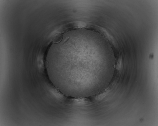 X0000102480524200808081308
