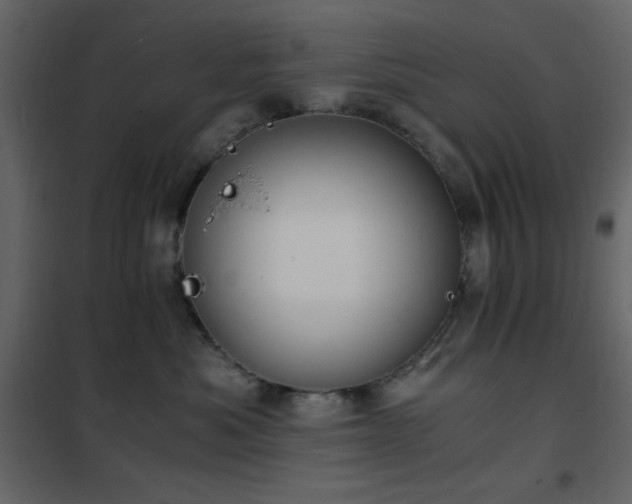 X0000102480525200808081308