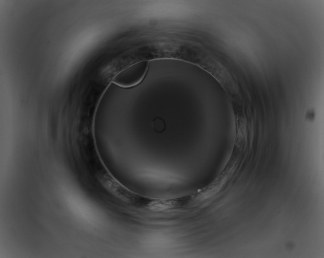 X0000102480526200808081308