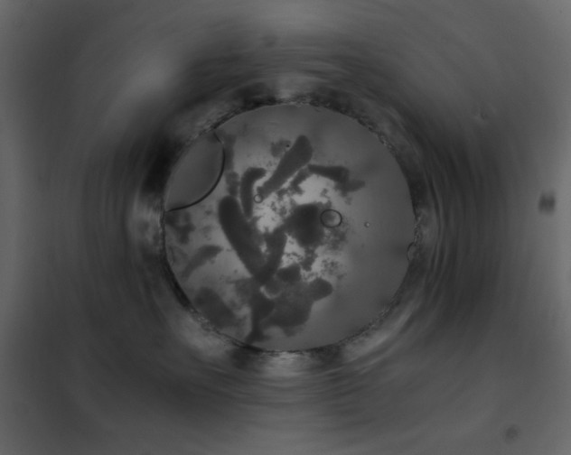 X0000102480527200808081308