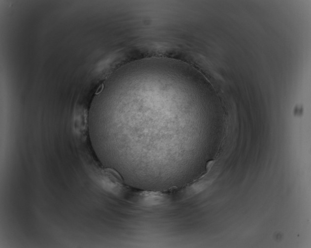 X0000102480528200808081308