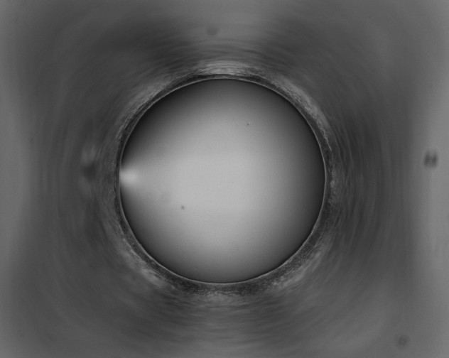 X0000102480529200808081307