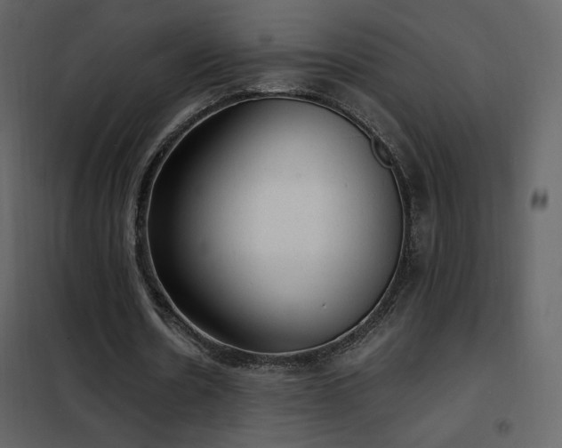X0000102480530200808081307