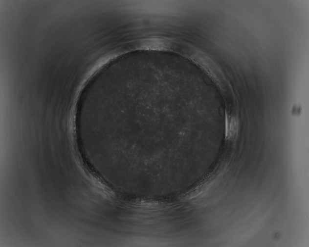 X0000102480531200808081307