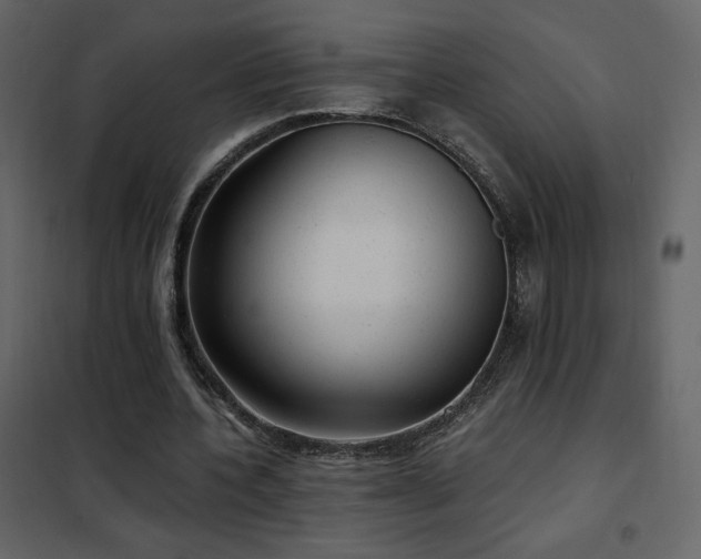 X0000102480532200808081307