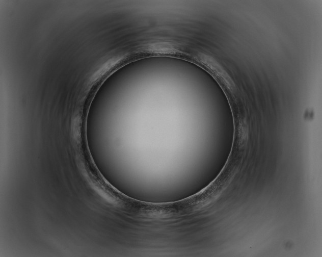 X0000102480533200808081307