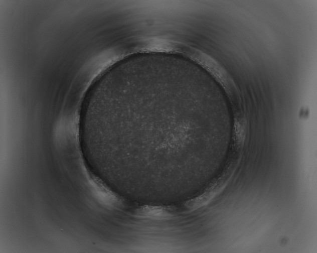 X0000102480534200808081307