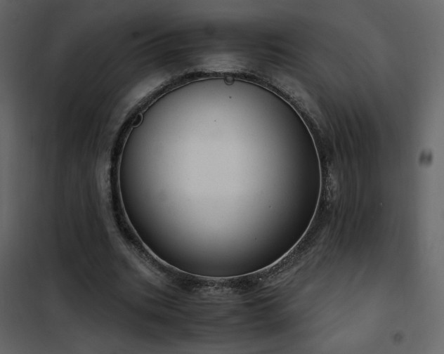 X0000102480535200808081307