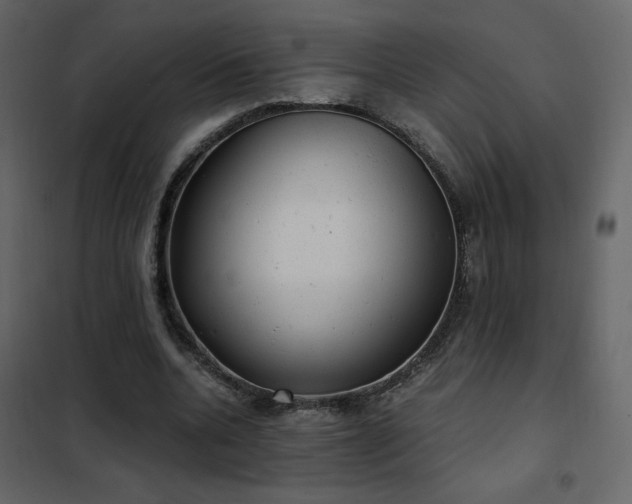 X0000102480536200808081307