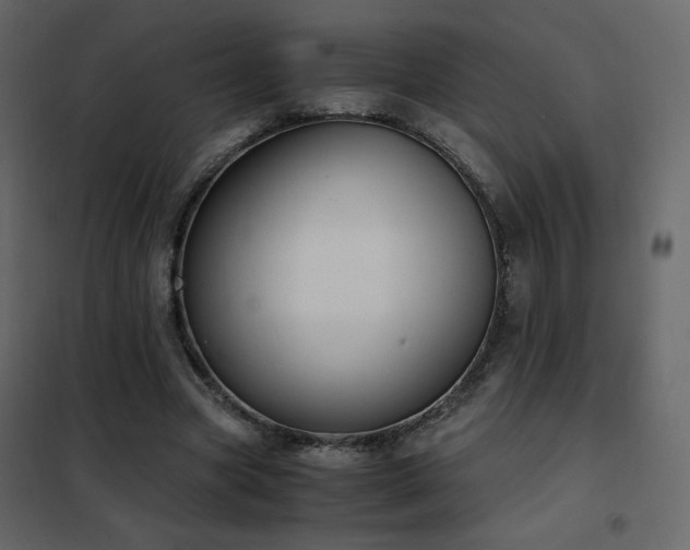 X0000102480537200808081307