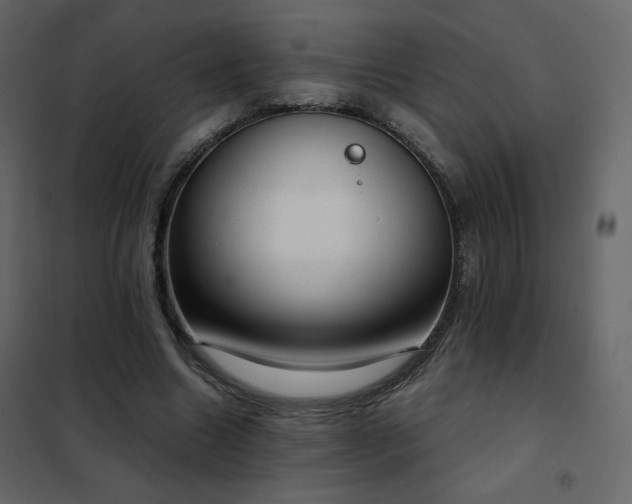 X0000102480538200808081307