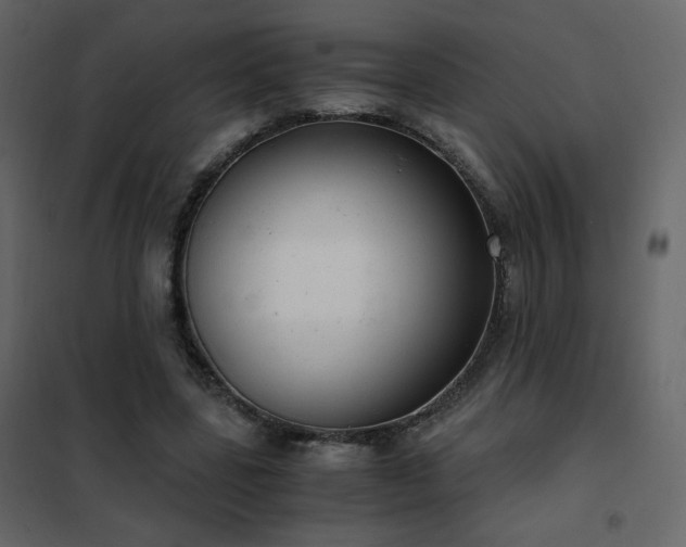 X0000102480539200808081307