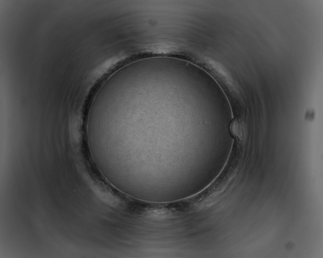 X0000102480540200808081307