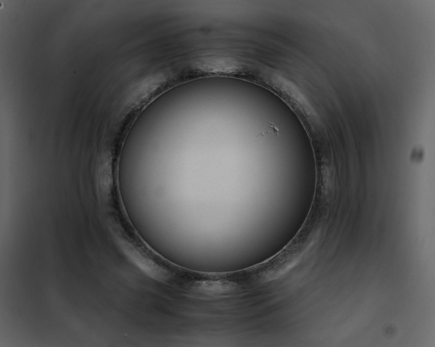 X0000102480541200808081307