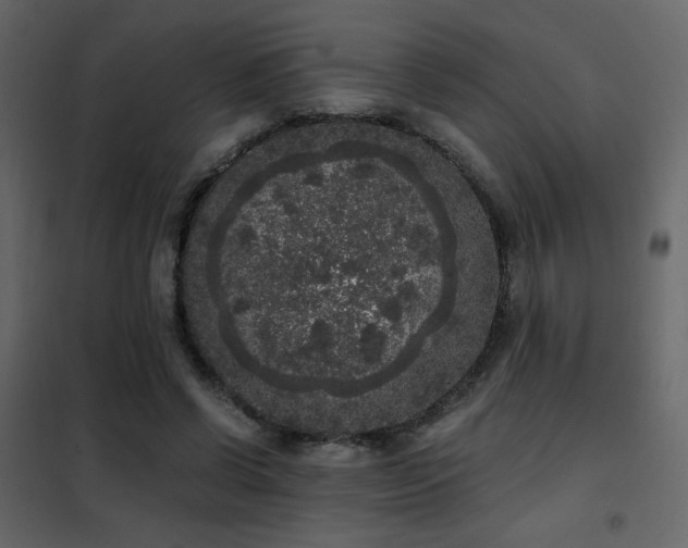 X0000102480542200808081307