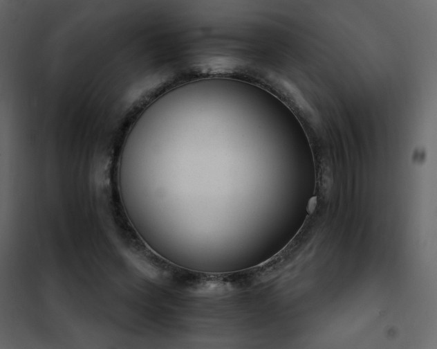 X0000102480543200808081307