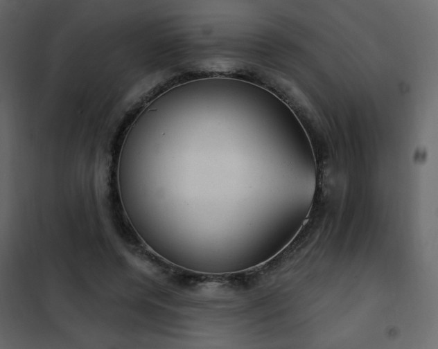X0000102480544200808081307