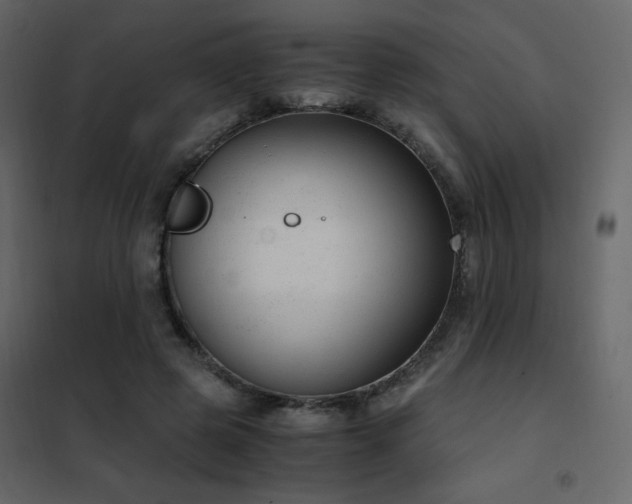 X0000102480545200808081307