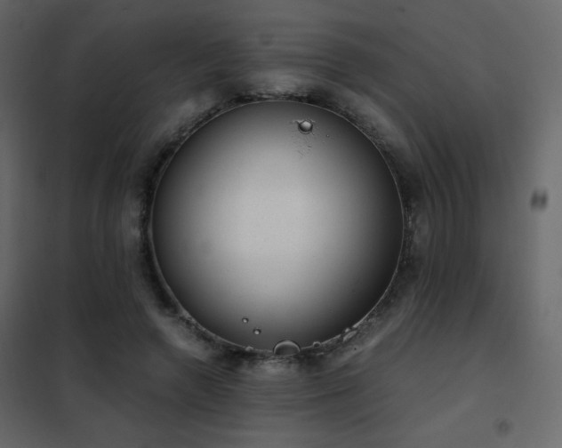 X0000102480546200808081307