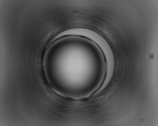 X0000102480547200808081307