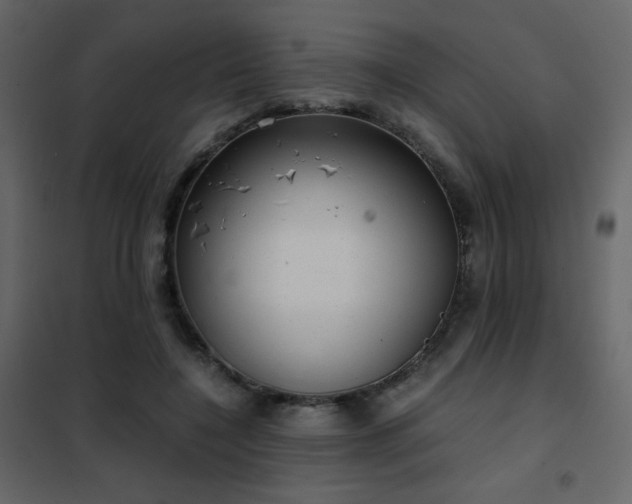 X0000102480548200808081307