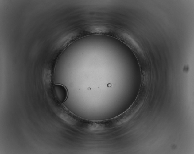 X0000102480549200808081307