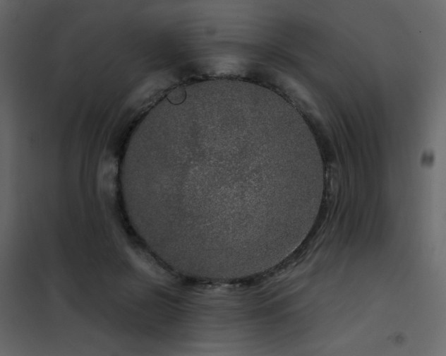 X0000102480550200808081307
